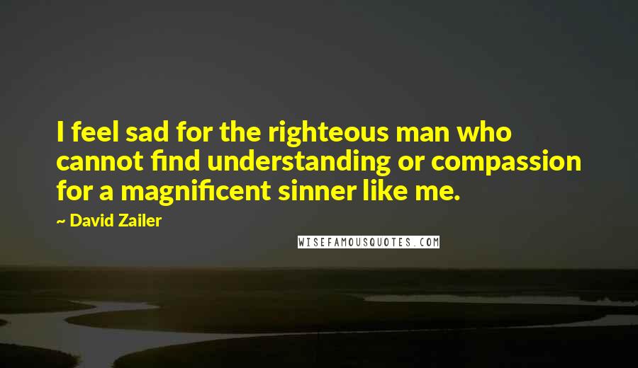 David Zailer quotes: I feel sad for the righteous man who cannot find understanding or compassion for a magnificent sinner like me.