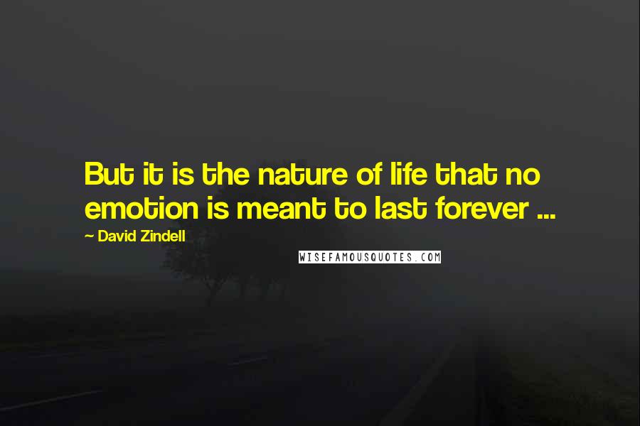 David Zindell quotes: But it is the nature of life that no emotion is meant to last forever ...