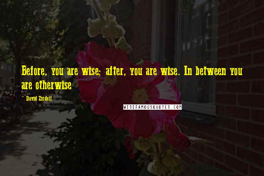 David Zindell quotes: Before, you are wise; after, you are wise. In between you are otherwise