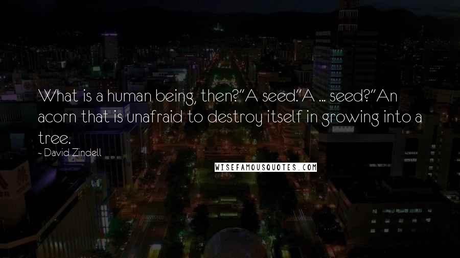 David Zindell quotes: What is a human being, then?''A seed.''A ... seed?''An acorn that is unafraid to destroy itself in growing into a tree. David Zindell quotes: What is a human being, then?''A seed.''A ... seed?''An acorn that is unafraid to destroy itself in growing into a tree.