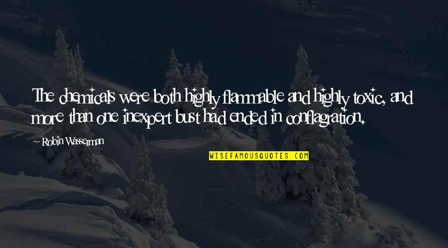 Davida Kelley Quotes By Robin Wasserman: The chemicals were both highly flammable and highly Davida Kelley Quotes By Robin Wasserman: The chemicals were both highly flammable and highly