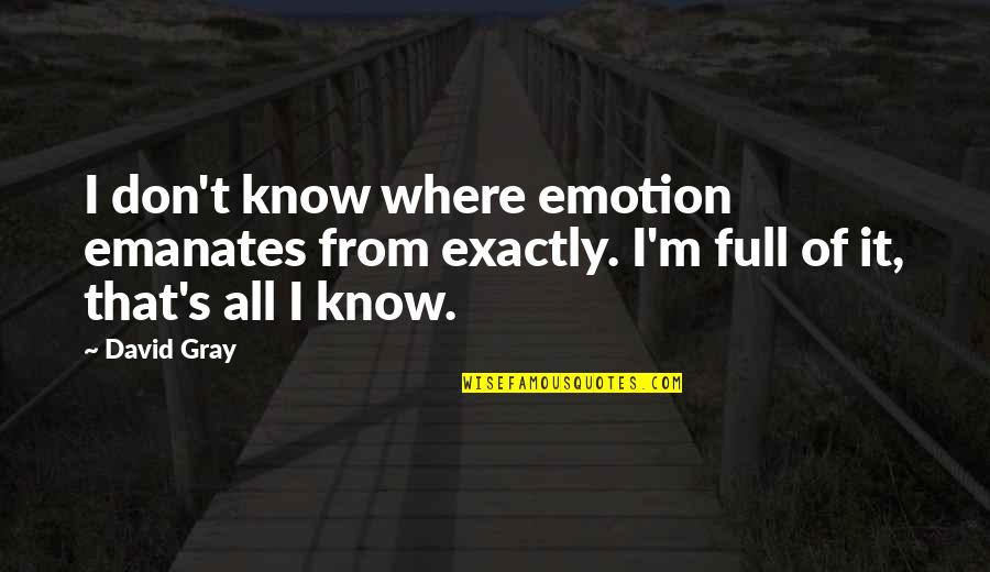 David's Quotes By David Gray: I don't know where emotion emanates from exactly.