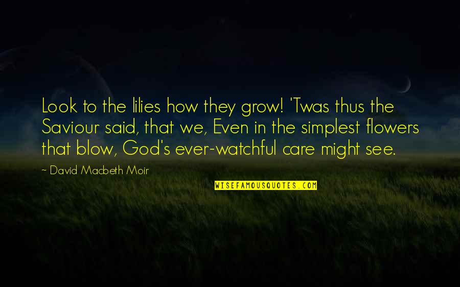 David's Quotes By David Macbeth Moir: Look to the lilies how they grow! 'Twas