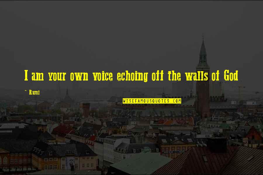 Davidsson Eftertr Dare Quotes By Rumi: I am your own voice echoing off the