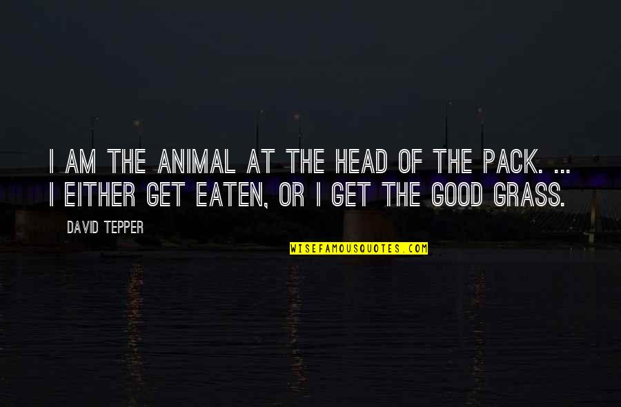 Davita Quotes By David Tepper: I am the animal at the head of Davita Quotes By David Tepper: I am the animal at the head of
