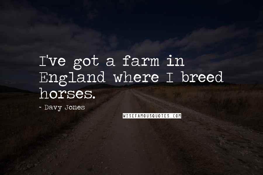 Davy Jones quotes: I've got a farm in England where I breed horses.
