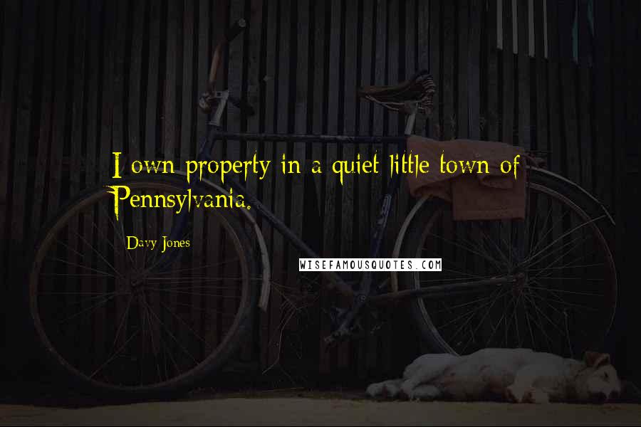 Davy Jones quotes: I own property in a quiet little town of Pennsylvania.