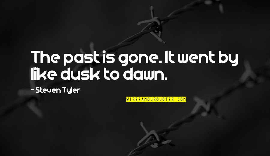 Dawn And Dusk Quotes By Steven Tyler: The past is gone. It went by like