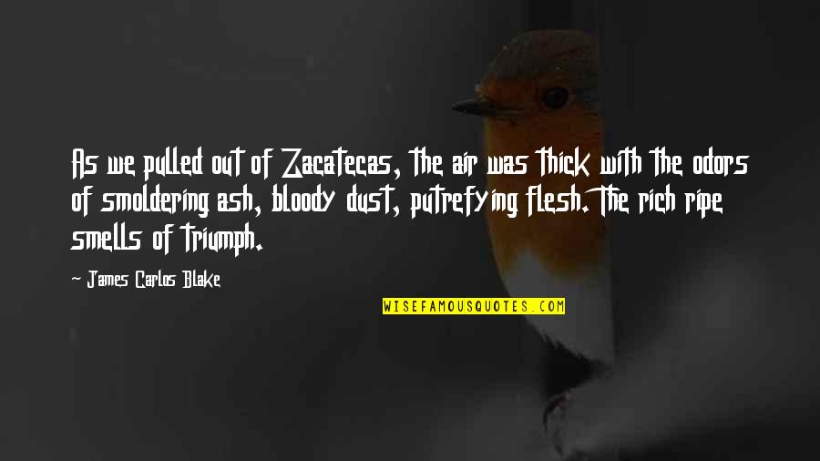 Dawn Of War Heretic Quotes By James Carlos Blake: As we pulled out of Zacatecas, the air Dawn Of War Heretic Quotes By James Carlos Blake: As we pulled out of Zacatecas, the air