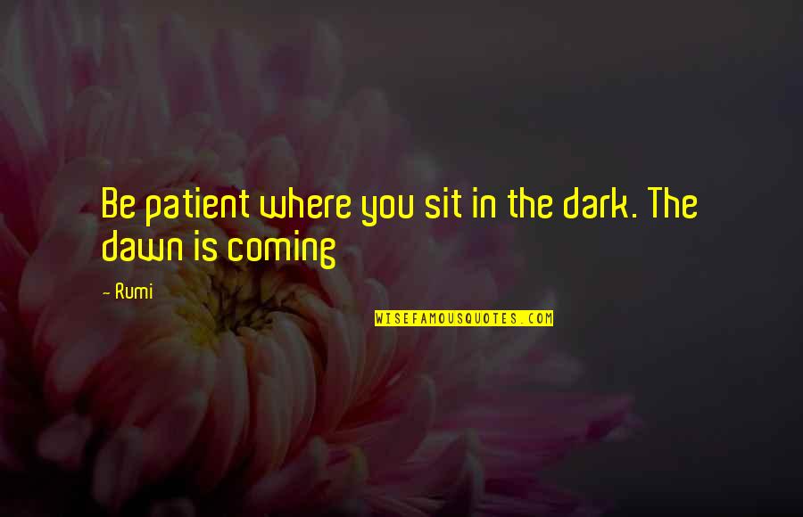 Dawn Rumi Quotes By Rumi: Be patient where you sit in the dark.