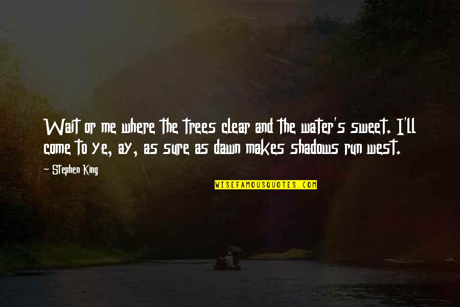Dawn S Quotes By Stephen King: Wait or me where the trees clear and Dawn S Quotes By Stephen King: Wait or me where the trees clear and