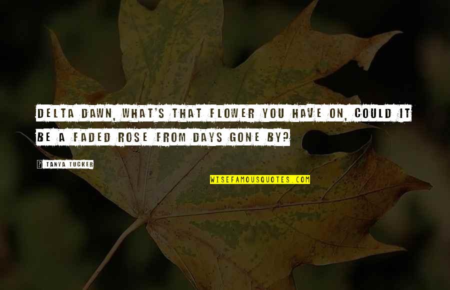 Dawn S Quotes By Tanya Tucker: Delta Dawn, what's that flower you have on, Dawn S Quotes By Tanya Tucker: Delta Dawn, what's that flower you have on,