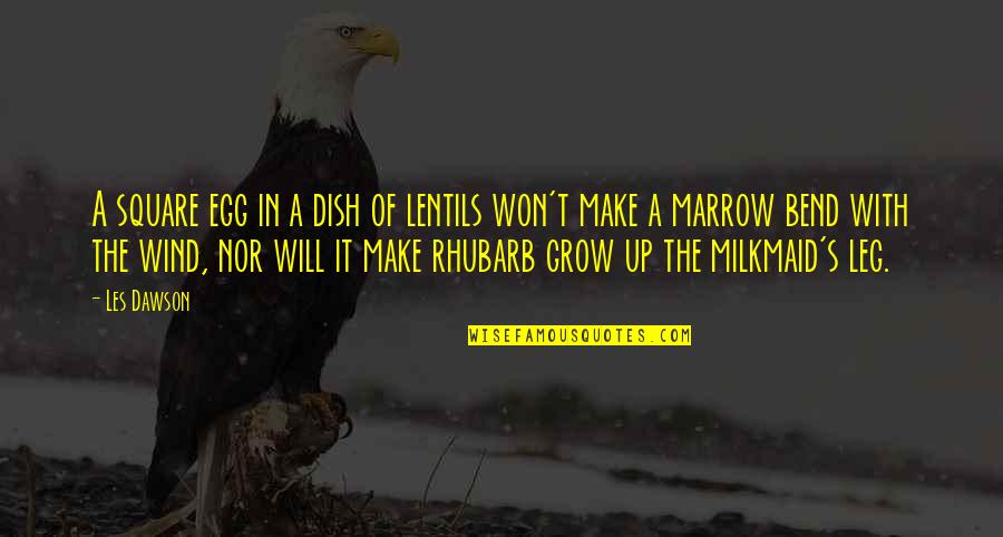 Dawson's Quotes By Les Dawson: A square egg in a dish of lentils Dawson's Quotes By Les Dawson: A square egg in a dish of lentils