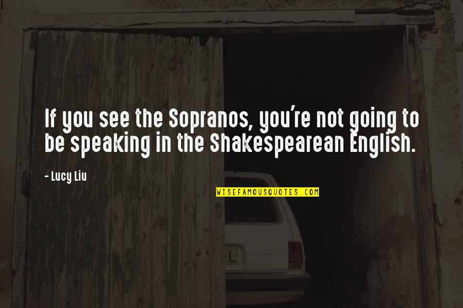 Day After September 11th Quotes By Lucy Liu: If you see the Sopranos, you're not going