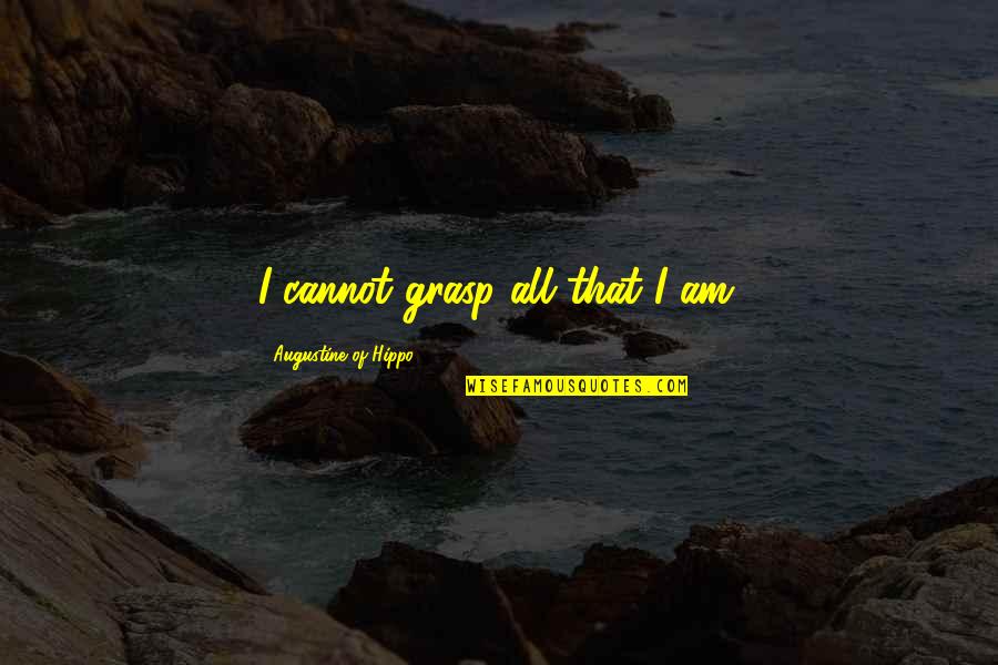 Day At The Beach Quotes By Augustine Of Hippo: I cannot grasp all that I am.