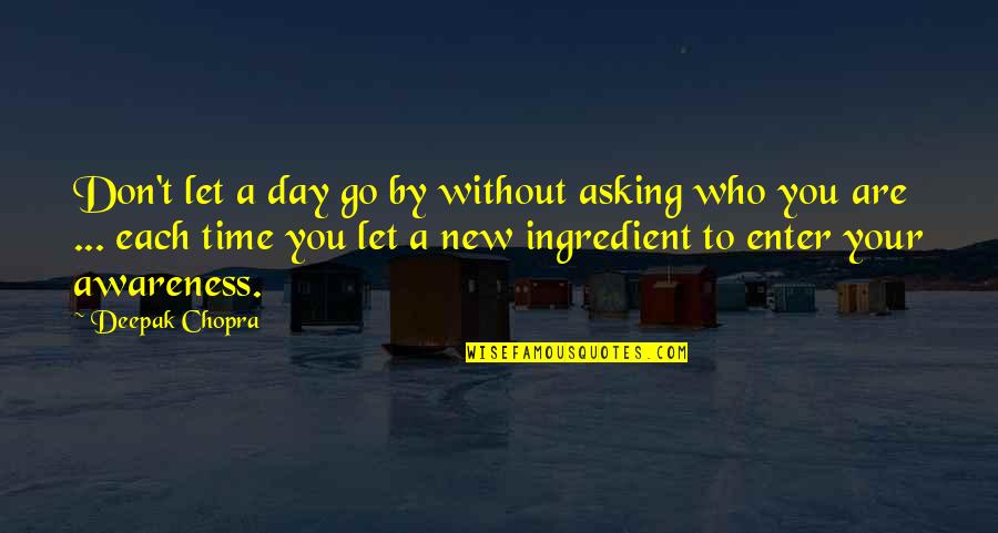 Day By Day By Day By Day Quotes By Deepak Chopra: Don't let a day go by without asking