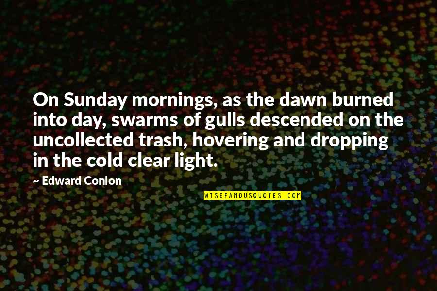 Day Mornings Quotes By Edward Conlon: On Sunday mornings, as the dawn burned into