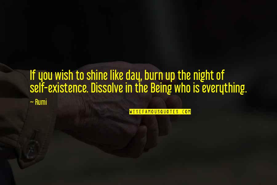 Day Night Quotes By Rumi: If you wish to shine like day, burn