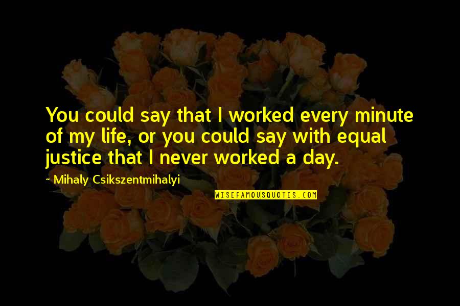 Day Of My Life Quotes By Mihaly Csikszentmihalyi: You could say that I worked every minute