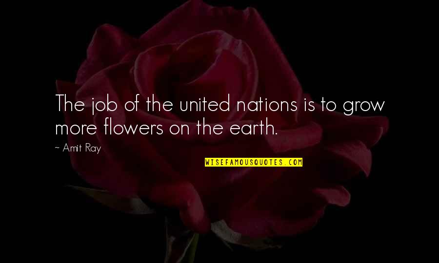 Day Of The Earth Quotes By Amit Ray: The job of the united nations is to