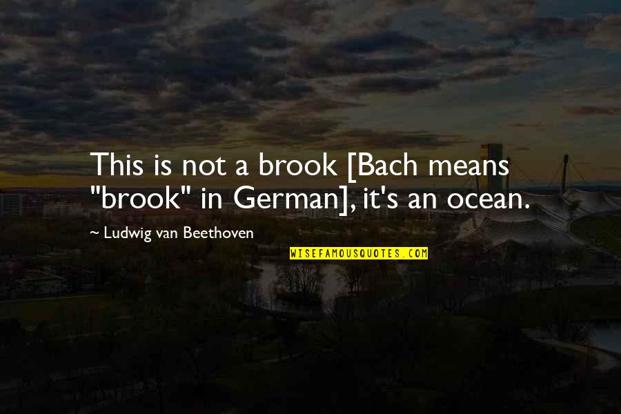 Daycare Attendant Quotes By Ludwig Van Beethoven: This is not a brook [Bach means "brook"