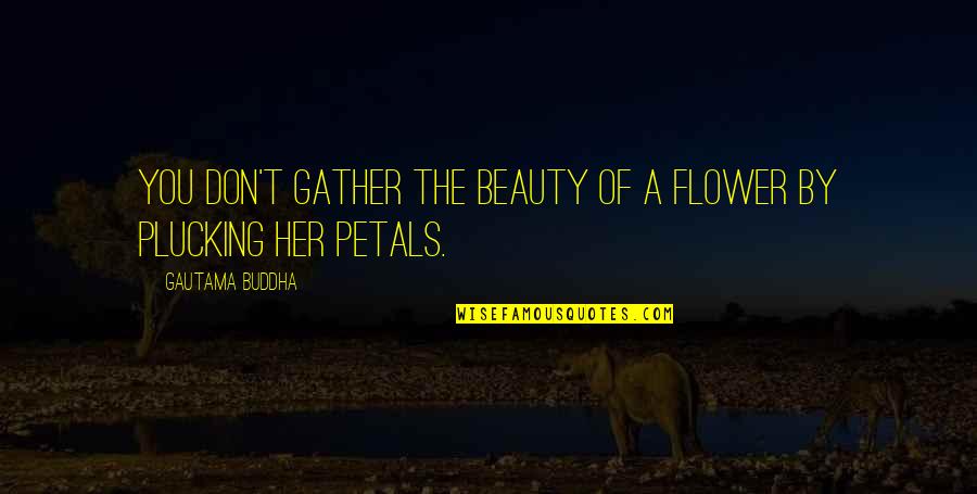 Daylene Murder Quotes By Gautama Buddha: You don't gather the beauty of a flower