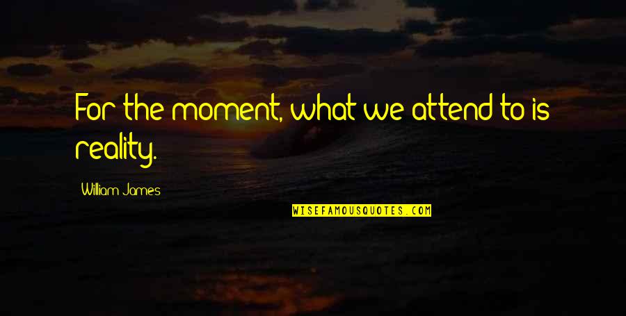 Dayrell Hotel Quotes By William James: For the moment, what we attend to is