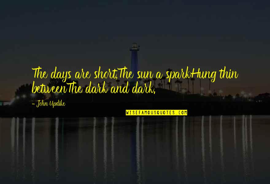 Days Are Short Quotes By John Updike: The days are short,The sun a sparkHung thin