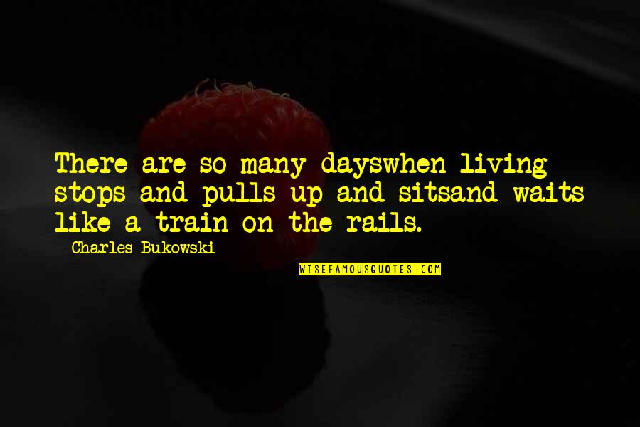 Days Like This Quotes By Charles Bukowski: There are so many dayswhen living stops and