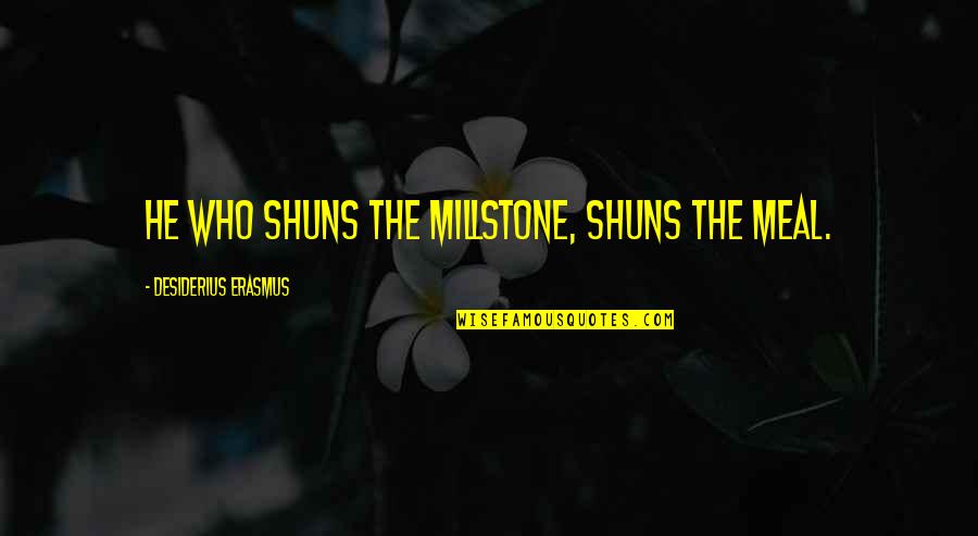 Days Means Tv Quotes By Desiderius Erasmus: He who shuns the millstone, shuns the meal.