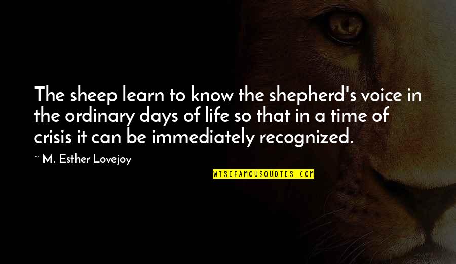Days Of Life Quotes By M. Esther Lovejoy: The sheep learn to know the shepherd's voice