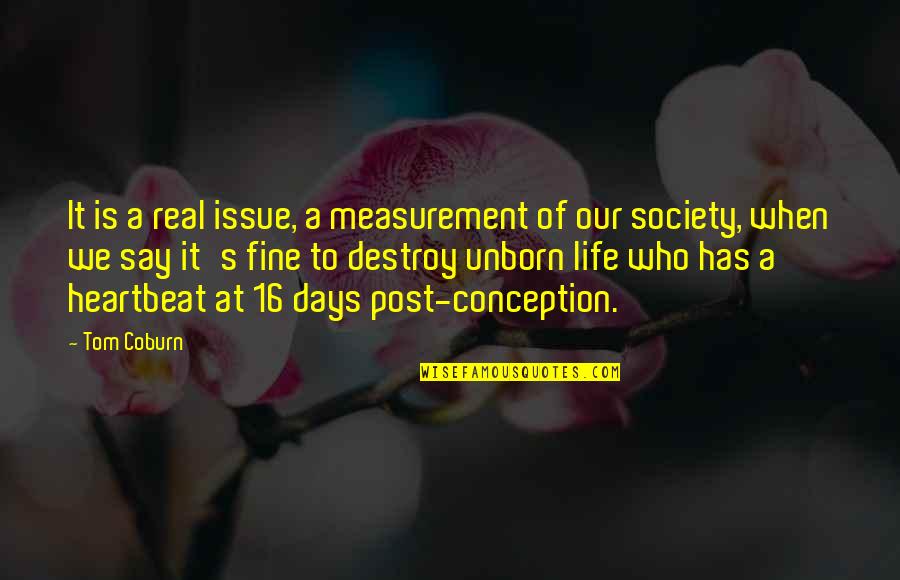 Days Of Life Quotes By Tom Coburn: It is a real issue, a measurement of