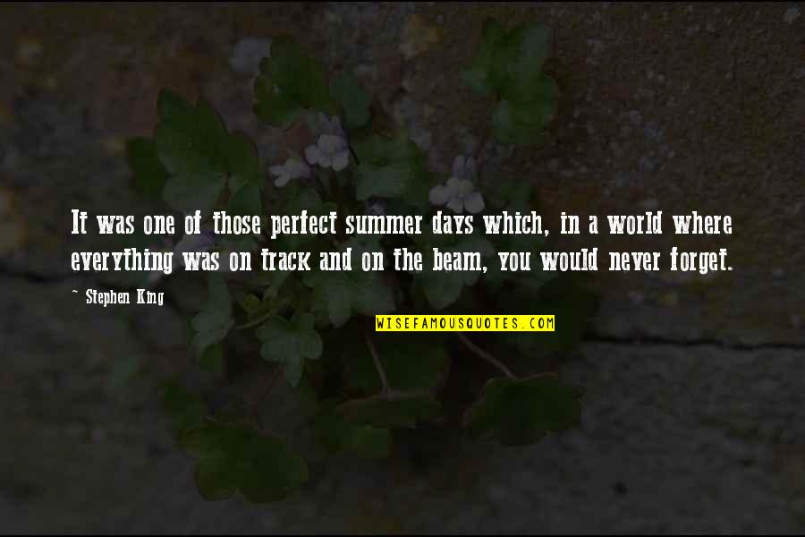 Days Of Summer Quotes By Stephen King: It was one of those perfect summer days