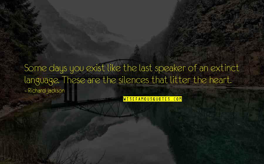 Days The Quotes By Richard Jackson: Some days you exist like the last speaker