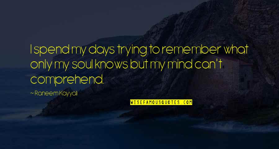 Days To Remember Quotes By Raneem Kayyali: I spend my days trying to remember what