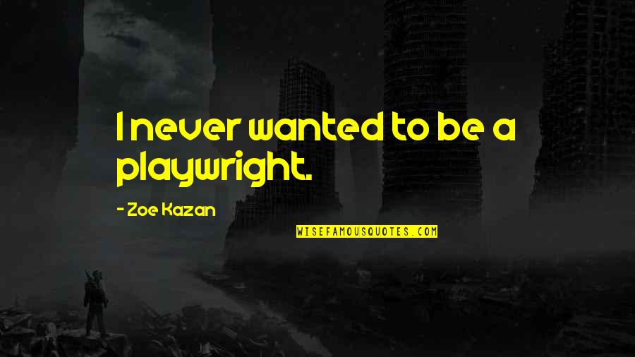 Daysin Quotes By Zoe Kazan: I never wanted to be a playwright.