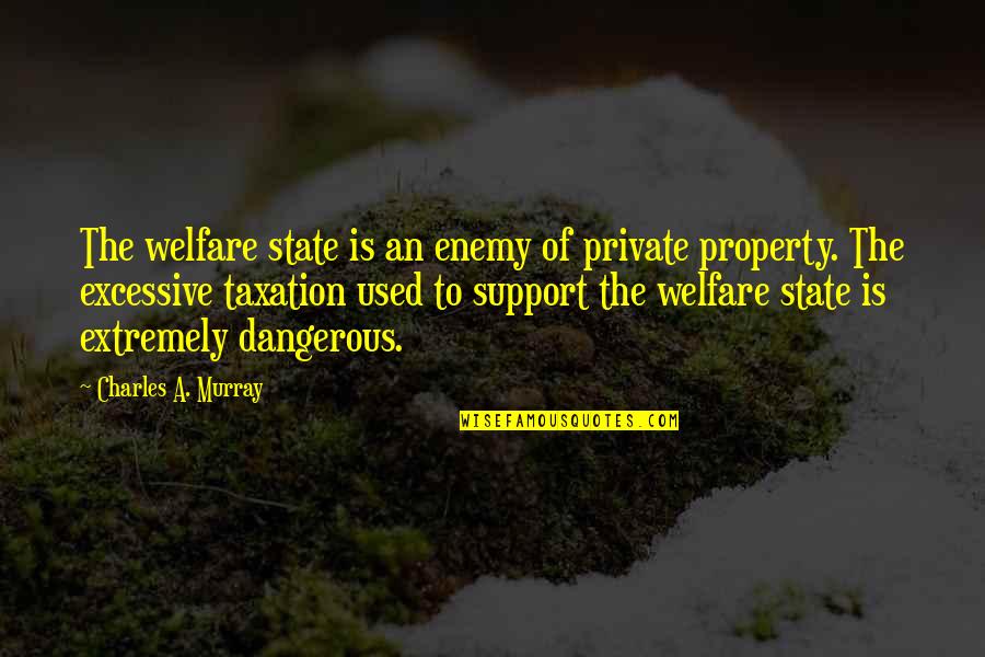 Daytons Devils Quotes By Charles A. Murray: The welfare state is an enemy of private