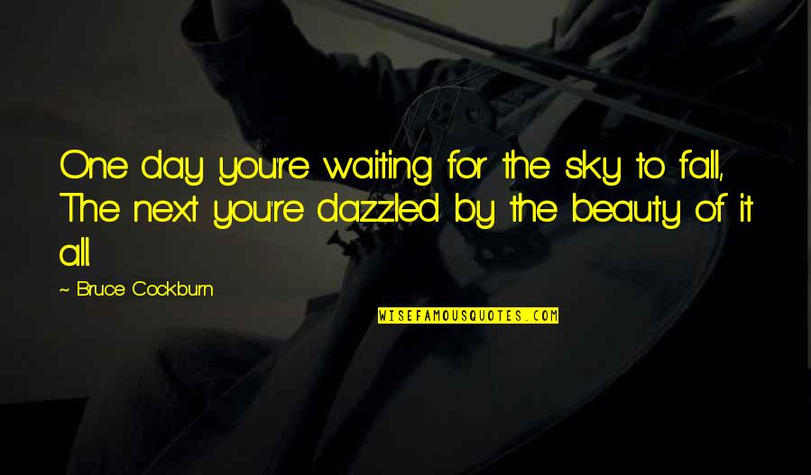 Dazzled Quotes By Bruce Cockburn: One day you're waiting for the sky to