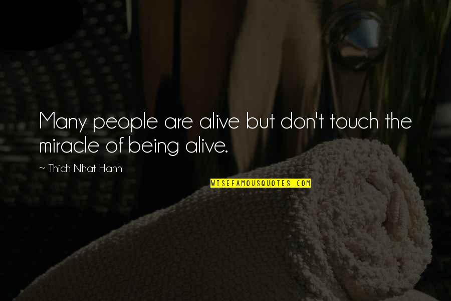 Dazzling Smile Quotes By Thich Nhat Hanh: Many people are alive but don't touch the