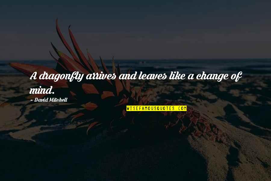 De Bedste Quotes By David Mitchell: A dragonfly arrives and leaves like a change