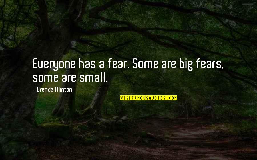 De Benoist Quotes By Brenda Minton: Everyone has a fear. Some are big fears,
