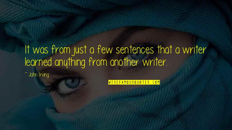 De Carlton Quotes By John Irving: It was from just a few sentences that