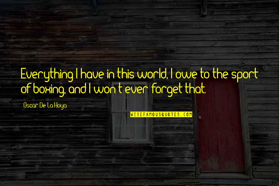De Hoya Quotes By Oscar De La Hoya: Everything I have in this world, I owe