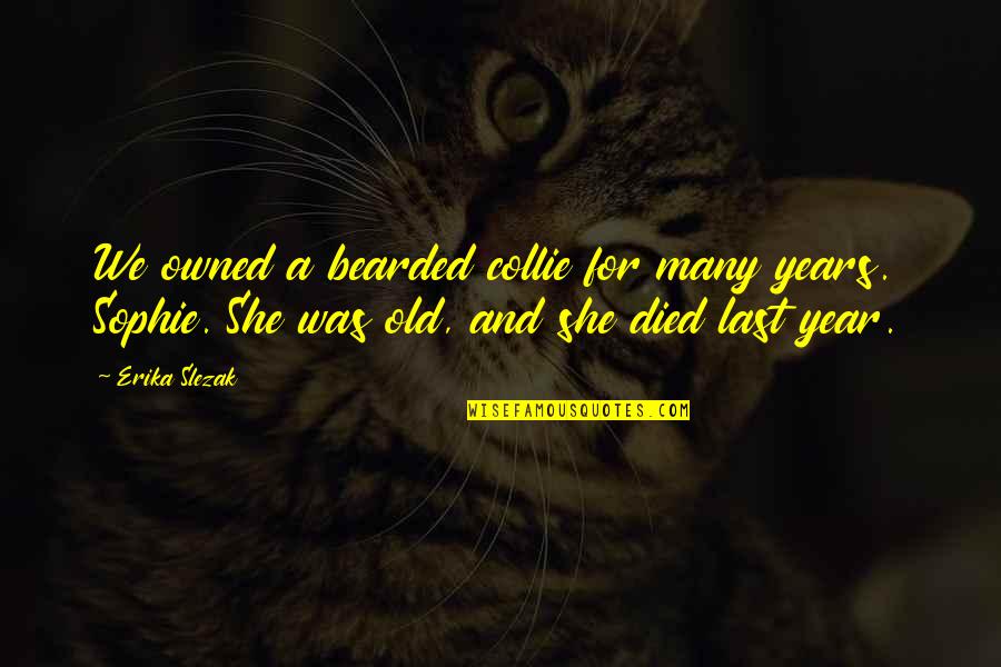 De I Time Warner Cable Quotes By Erika Slezak: We owned a bearded collie for many years. De I Time Warner Cable Quotes By Erika Slezak: We owned a bearded collie for many years.