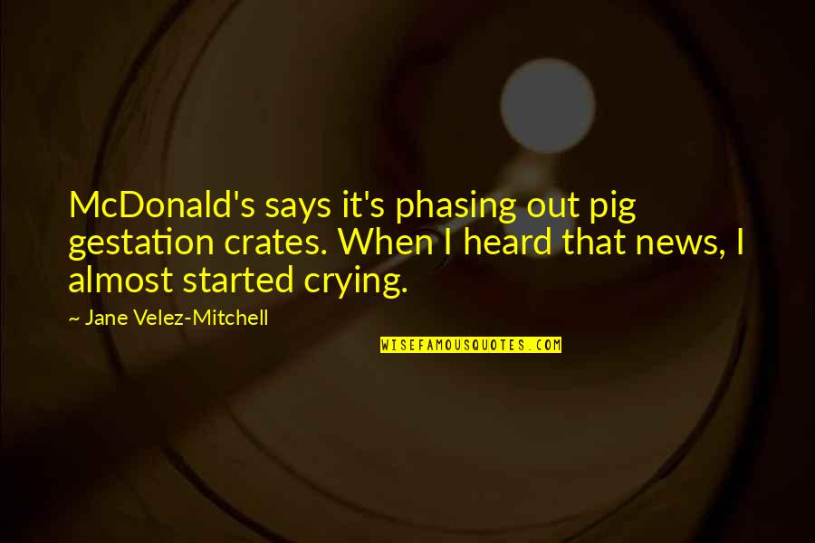 De La Hoz Perez Quotes By Jane Velez-Mitchell: McDonald's says it's phasing out pig gestation crates.