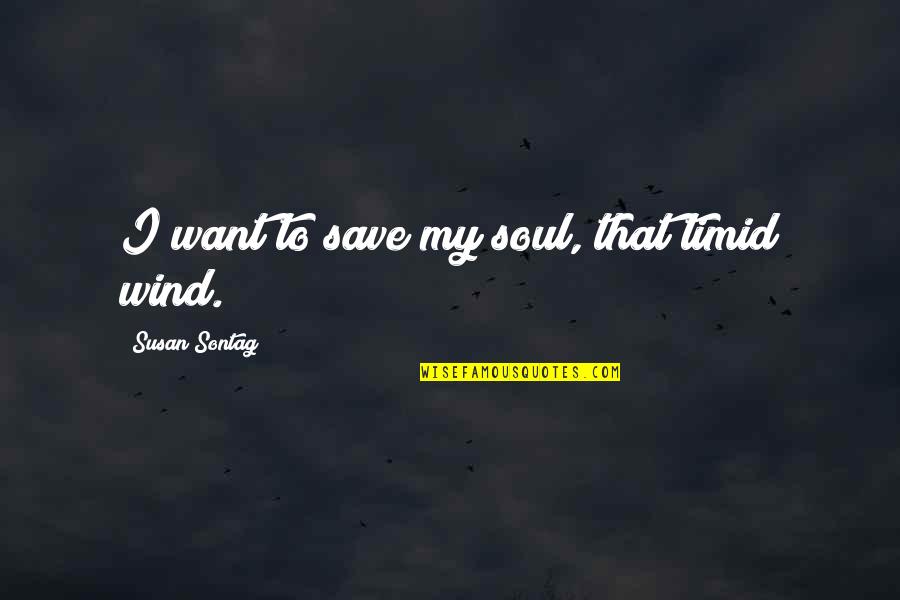De Magistris Luigi Quotes By Susan Sontag: I want to save my soul, that timid De Magistris Luigi Quotes By Susan Sontag: I want to save my soul, that timid