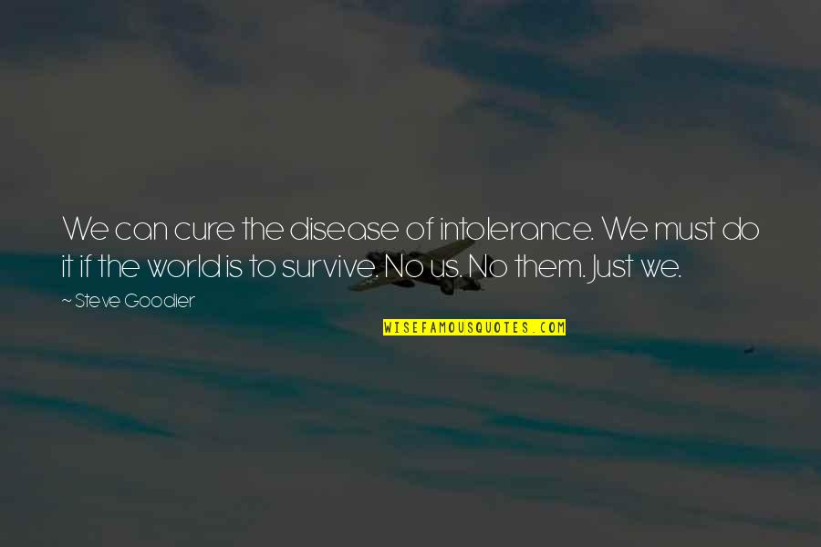 De Meester Immo Quotes By Steve Goodier: We can cure the disease of intolerance. We