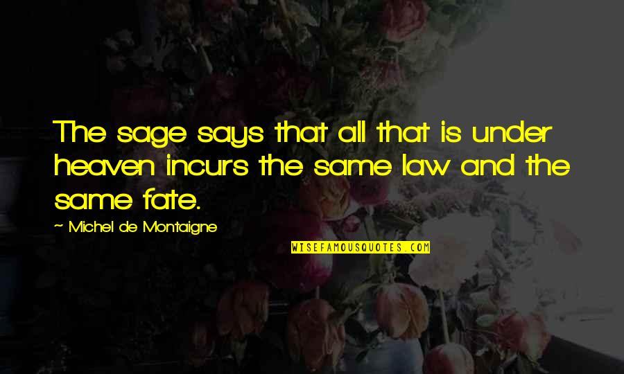 De Montaigne Quotes By Michel De Montaigne: The sage says that all that is under