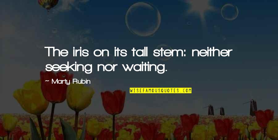 De Proost Quotes By Marty Rubin: The iris on its tall stem: neither seeking De Proost Quotes By Marty Rubin: The iris on its tall stem: neither seeking
