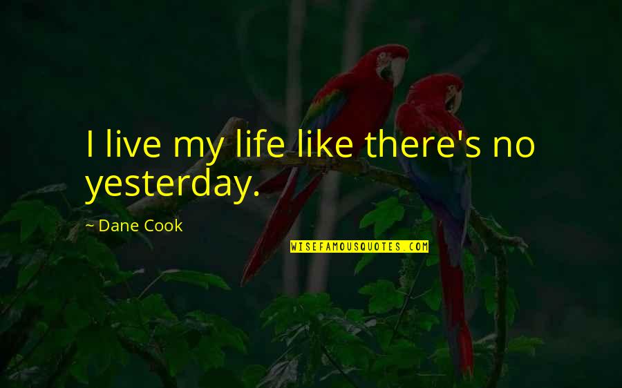 De Schutter Oudenaarde Quotes By Dane Cook: I live my life like there's no yesterday.